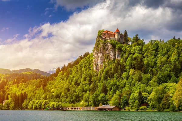 Bled Kasteel Met Lake Bled Slovenië — Stockfoto