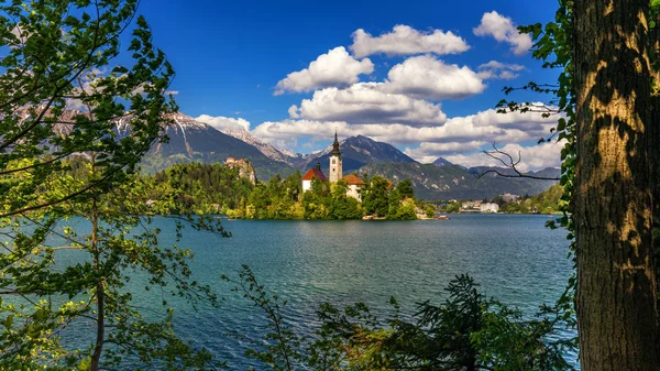 Lago Bled Com Marys Igreja Assunção Pequena Ilha Bled Eslovénia — Fotografia de Stock