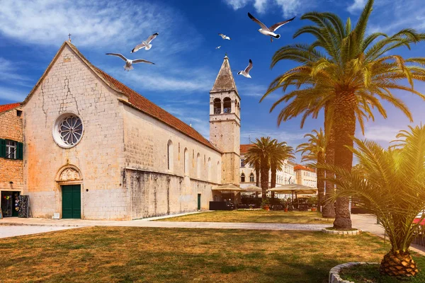 Церква Святого Домінік Трогіра Хорватії Сент Домінік Церква Домініканський Костьол — стокове фото