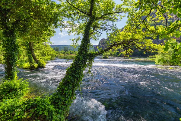 Вид Национальный Парк Крка Хорватия Европа Великолепный Летний Вид Водопады — стоковое фото