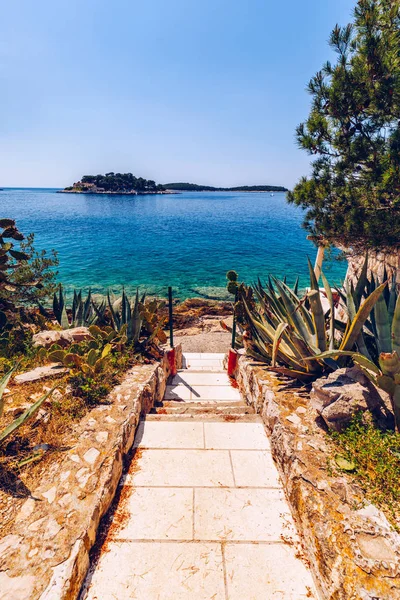 해변의 경로입니다 아드리아 해변의 경로입니다 바다에서 경로입니다 크로아티아 공화국 — 스톡 사진