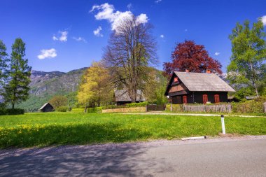 Triglav ulusal parkındaki Stara Fuzina köyünde renkli bir yaz, Slovenya, Julian Alps, Avrupa.