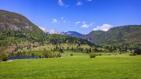 Colorido Verano Pueblo Stara Fuzina Parque Nacional Triglav Eslovenia Alpes — Foto de Stock