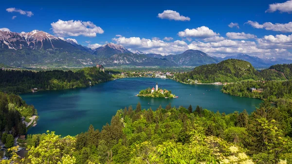 Озеро Бледі Церквою Марії Успіння Невеликому Острові Bled Slovenia Europe — стокове фото