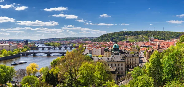 Blommande busken av lila mot floden Vltava och Charles brid — Stockfoto