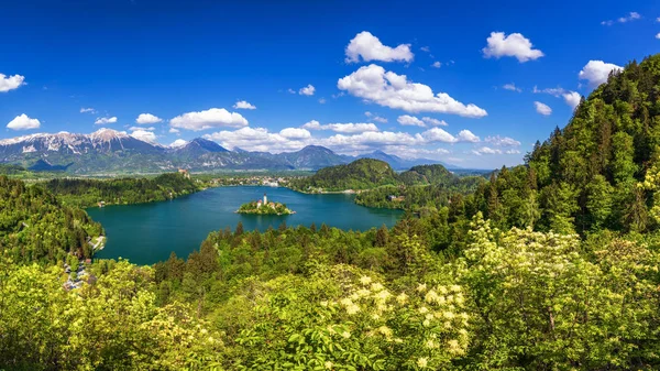 Озеро Блед, Словенія. Красиві гірські озера з невеликих Pilgrimag — стокове фото