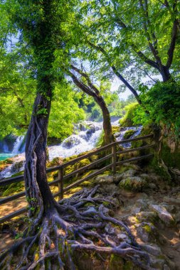 Güzel Skradinski Buk şelale Krka Milli Parkı, Dalmat '