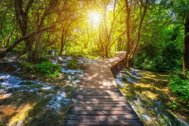 Krka milli park ahşap yol derin yeşil ormanın içinde. Colo