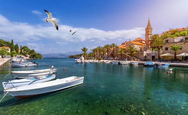 Splitska village with beautiful port and seagull's flying over t — Stock Photo, Image