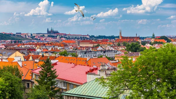 Vista del Castillo de Praga sobre el techo rojo desde el área de Vysehrad al atardecer — Foto de Stock