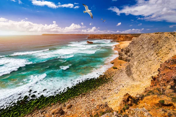 Vista panorámica de Praia do Tonel (playa de Tonel) en Cape Sagres, Al — Foto de Stock