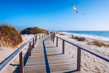 Portekiz, Costa Nova d 'Aveiro' daki ahşap patika. Kum tepeleri üzerinde.
