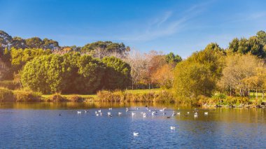 Porto City Park, Parque da Cidade yapmak Porto 
