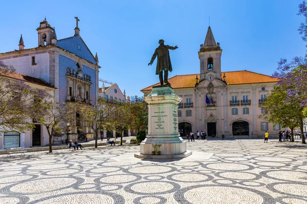 Plac Republiki (praca da Republica) w Aveiro. Wysadzane drzewami P — Zdjęcie stockowe