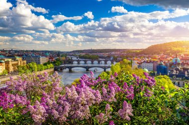 Amazing spring cityscape, Vltava river and old city center with  clipart