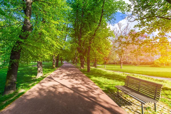 Jarní pohled v parku Letna, Praha, Česká republika. Jaro v pra — Stock fotografie