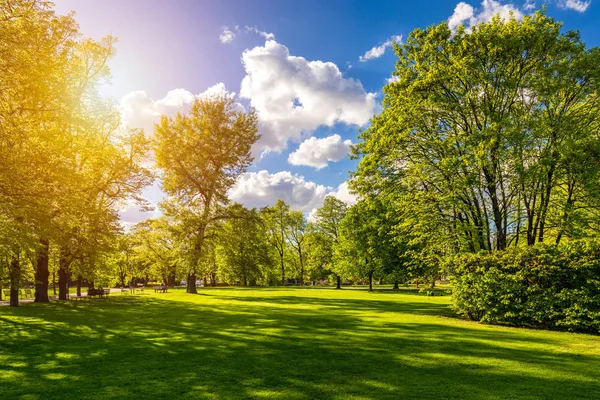 Vista de primavera en el Parque Letna, Praga, República Checa. Primavera en Pra —  Fotos de Stock