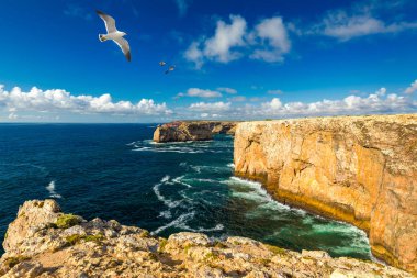 Portekiz sahili, Atlas Okyanusu'na doğru uçurum. Sagres'de çekilen