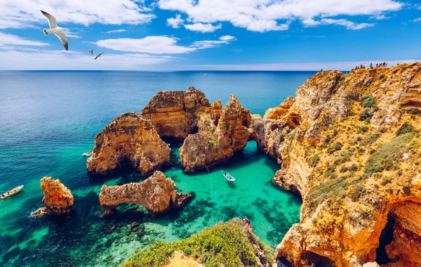 Vista panorámica, Ponta da Piedade con gaviotas volando sobre rocas — Foto de Stock