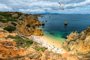 Camilo plaj (Praia camilo) roc üzerinde uçan martılar ile