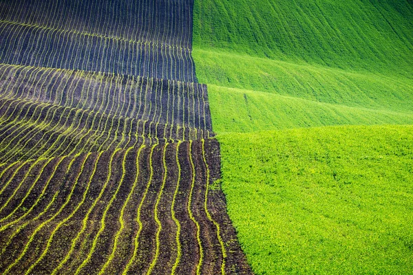 Grüne Sommer Landschaft malerische Aussicht — Stockfoto