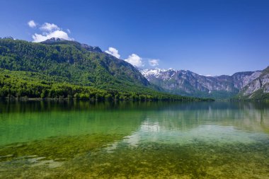 Slovenya'daki Bohinj Gölü, doğada güzellik. Renkli yaz th