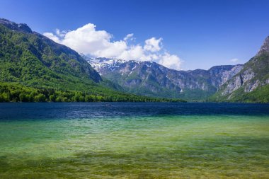 Slovenya'daki Bohinj Gölü, doğada güzellik. Renkli yaz th