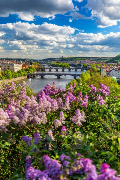 Increíble paisaje urbano de primavera, el río Moldava y el centro de la ciudad vieja con — Foto de Stock