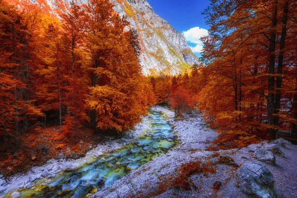 Beautiful colorful autumn landscape with a stream and forest in 
