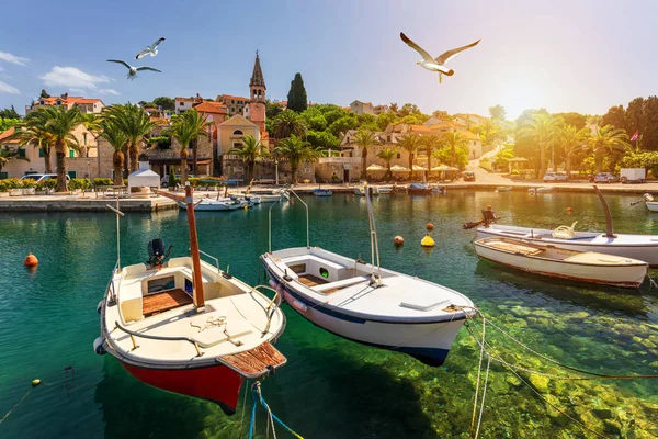 Splitska village with beautiful port and seagull's flying over t — Stock Photo, Image