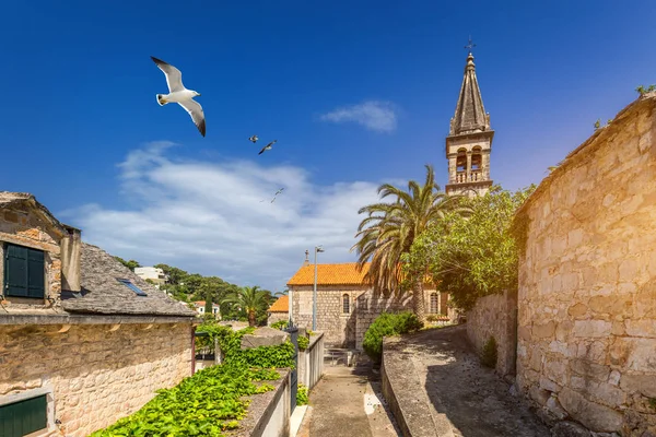 Aldeia Splitska com belo porto e gaivota voando sobre t — Fotografia de Stock