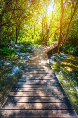 Krka milli park ahşap yol derin yeşil ormanın içinde. Colo