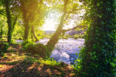Krka Ulusal Parkı görünümü, Hırvatistan, Avrupa. Muhteşem yaz vie