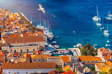 Hırvatistan'da kırmızı çatılar çok Hvar şehir panoramik görünümü. H