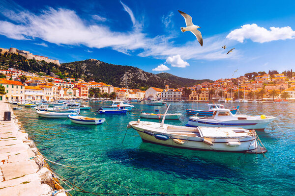 Hvar town with seagull's flying over city, famous luxury travel 