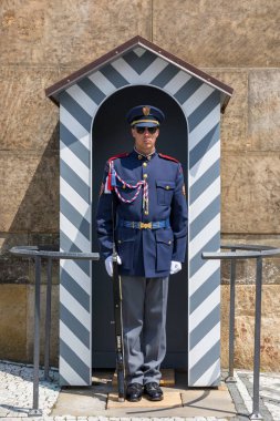 Prag, Çek Cumhuriyeti - 26 Mayıs 2018: Onur Muhafızları Muhafızı