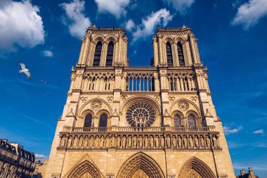 Üzerinde martılar uçan Notre Dame de Paris katedrali, Fran