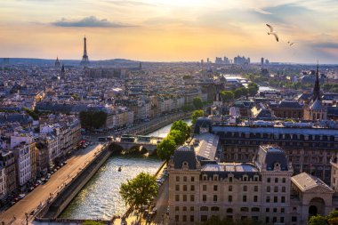 Paris, Fransa, Kuşlar ile yaz renkleri Seine nehir cityscape