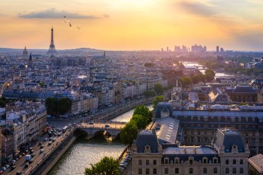 Paris, Fransa, Kuşlar ile yaz renkleri Seine nehir cityscape