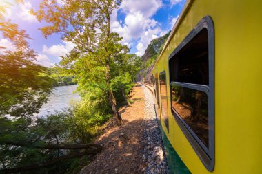 Tren yolculuğu, pencereden manzara. Yeşil vegetati geçen eski tren