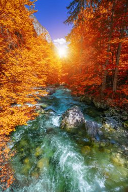 Beautiful colorful autumn landscape with a stream and forest in  clipart