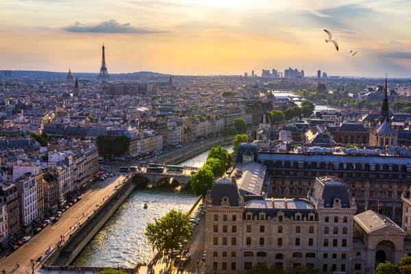パリ、フランス、鳥と夏の色でセーヌ川の街並み — ストック写真
