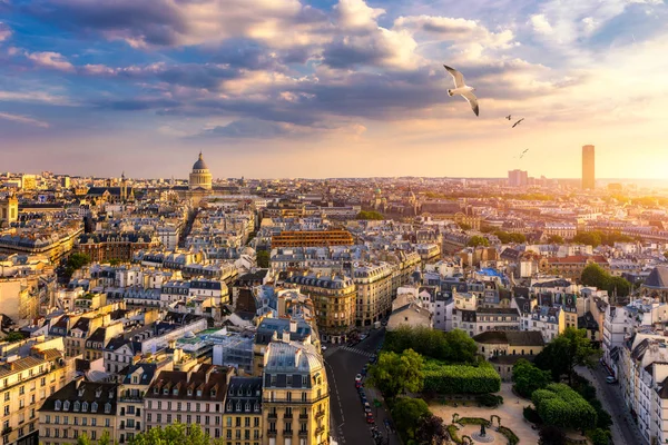 París, Francia, Paisaje urbano del Sena en colores veraniegos con pájaros — Foto de Stock