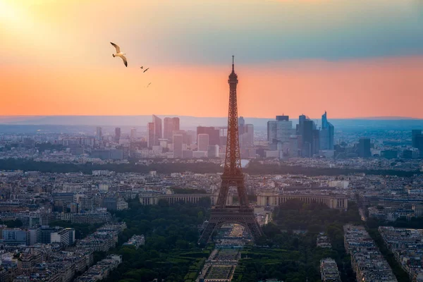 Vista de París con la Torre Eiffel desde el edificio Montparnasse. Eiff. — Foto de Stock