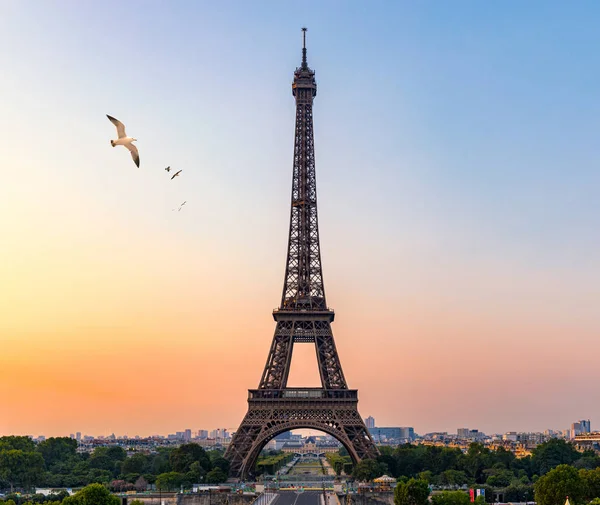 Eiffeltornet på sommaren med flygande fåglar, Paris, Frankrike. Natursköna — Stockfoto