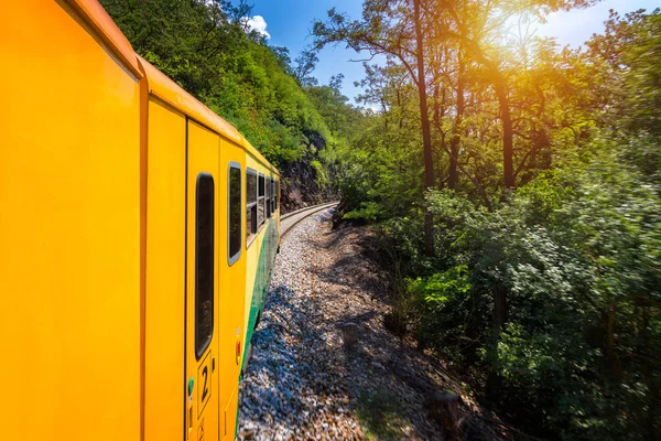 Tren yolculuğu, pencereden manzara. Yeşil vegetati geçen eski tren