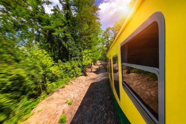 Train ride, view from a window. Old train passing green vegetati