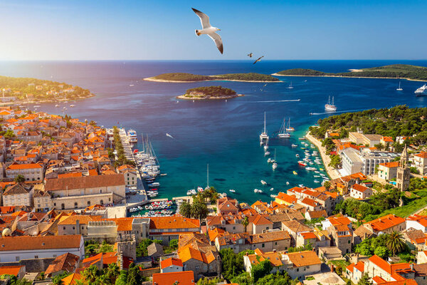 Hvar town with seagull's flying over city, famous luxury travel 