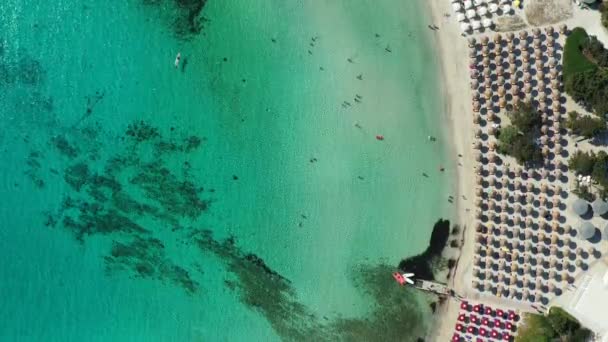 鸟瞰佩洛沙海滩 Spiaggia Della Pelosa Stintino Sardinia 意大利 意大利撒丁岛La Pelosa海滩 拉佩洛萨海滩 — 图库视频影像