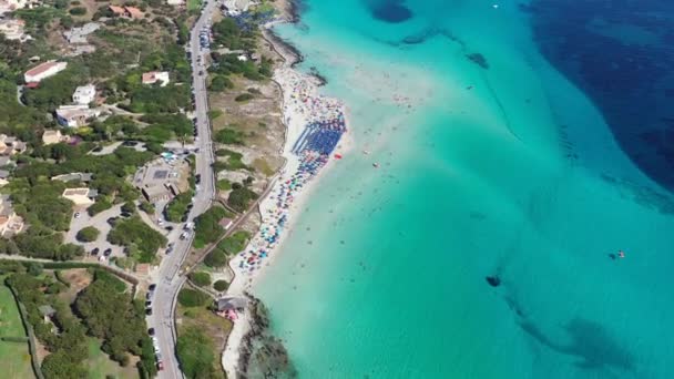 鸟瞰佩洛沙海滩 Spiaggia Della Pelosa Stintino Sardinia 意大利 意大利撒丁岛La Pelosa海滩 拉佩洛萨海滩 — 图库视频影像